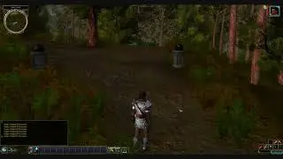 Shadows of Amn Reloaded: North Forest Walkthrough (WIP)