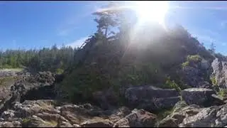 Tofino - Wild Pacific