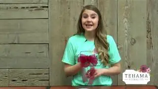 How to make a bow, never pay for another one again!