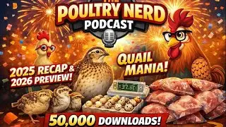 Quail Mania 2 Is Here! | 2025 Recap, 2026 Preview & Why Quail Just Make Sense