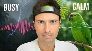 Mind Control is Real!! Muse S Athena Review