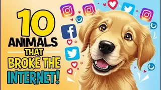 Top 10 Internet-Famous Animals That Stole the Spotlight