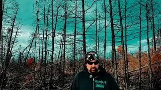 TRISKELYON 