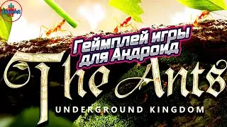 The Ants Underground Kingdom Android - геймплей игры The Ants Underground Kingdom для Андроид 👹👹👹