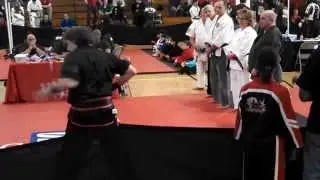 Ten Tigers Kung-Fu Academy FIVE ANIMAL FORM