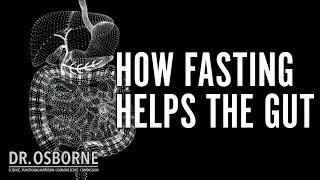 How fasting helps the gut