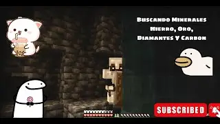 BUSCANDO MINERALES HIERRO, ORO, DIAMANTES Y CARBON