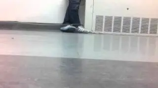 Hoverwing model test