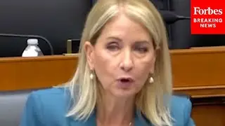 'The American People Would Disagree With You': Mary Miller Rips Witness For 'Out-Of-Touch' Comment