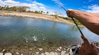 ILLEGAL Fishing Spot!