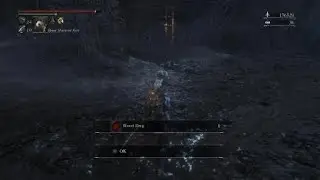 Bloodborne PvP with friends