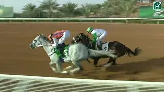 الشوط الثاني للحفل 54 بموسم سباقات الرياض