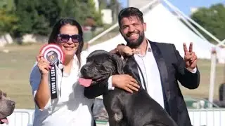 أكثر كلب مشاركة في البطولة 🇹🇳🏆مشاركة 13 😱