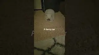 Very fancy! ✨️ #fancy #cats #cat #shorts #trending #trend #cute #kitty #viralvideo #baby #gatos