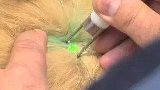 A.R.C. Veterinary Lasers  -  Non Contact Handpiece