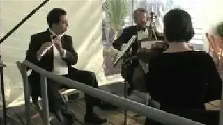 Windstrings Music Ensemble Seattle