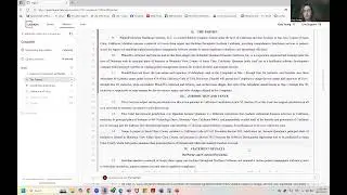 Generating a Complaint with Legal AI: Legion.Law