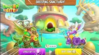 NEW BREEDING: High Druid Dragon And High Colony Dragon | DRAGON CITY