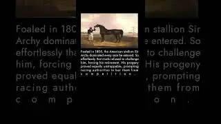 Sir Archy an American Thoroughbred racehorse