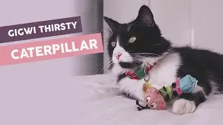 MIUSHOP: GigWi Thirsty Caterpillar - 