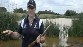 Acid Mine Drainage in Krugersdorp