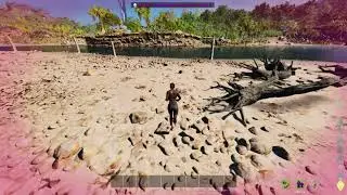 Ark ASA best note run island EDITION !!