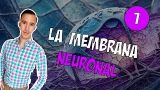 07. La Membrana Neuronal