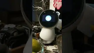 Jibo Says good bye
