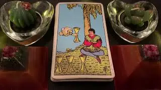 Your DM &ldquo;I can&rsquo;t do this anymore&rdquo;                                             #dmtodf #tarotreading