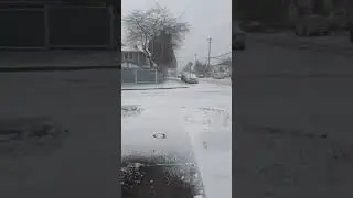 Vancouver Snowfall ❄️🌨️🥶🤯☃️#vancouver #snowfall #2024 #1st #canada #britishcolumbia #beautiful