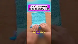 COOL EXPERIMENTS TO DO AT HOME PT. 58 #experiment #coolexperiments #science #scienceprojects #diy