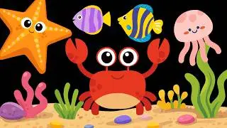 Ocean Cuties baby sensory video high contrast visual stimulation calm music #babysensory