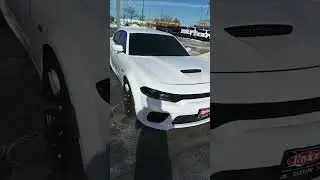 Tax Season Deals