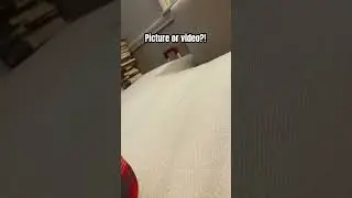 Picture or video 🤔