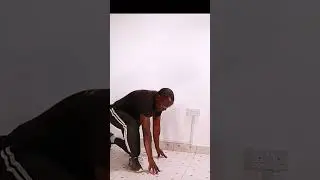 Primal Flow