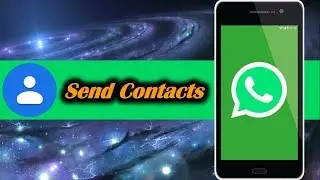 How to Send Contact in WhatsApp