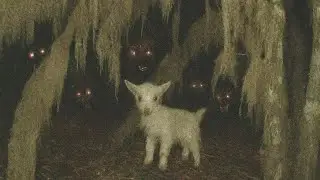Don&rsquo;t Look, They&rsquo;re Hunting - Dreamcore/Weirdcore Liminal Space Music