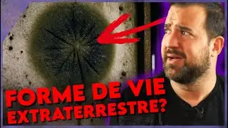 5 formes de vie qui ne devraient PAS exister SUR TERRE ! (podcast audio)