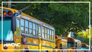 Public school enrollment is falling. Here's why