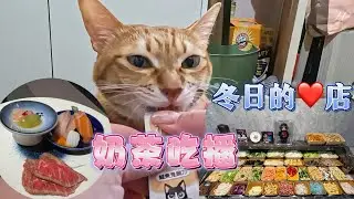 貓的吃播～奶茶｜自助式野菜吧～冬天幾乎每星期來報到｜Taiwan Vlog 