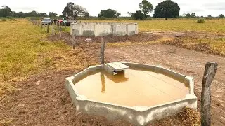 Por que todos  fazendeiros estão fazendo isso no pantanal