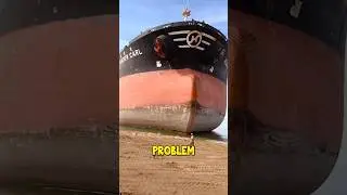 See How These Biofouling Organisms Destroy Ships 🤔