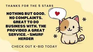 Best Online Auction Site | Google Review