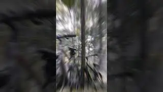 #viral #automobile #paytmraja #shortvideo #bhojpuri #paytam #stunt #paytem #video #rider