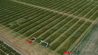 High-throughput Phenotyping System using Unmanned Ground Vehicle (UFPS Cart)