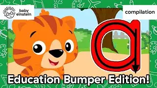 The Ultimate Toddler Learning Pack | Baby Einstein | Learning Show for Toddlers | Education