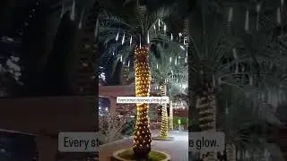 #shorts 268 #video 679 #dubai
