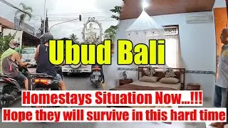 Homestays Situation In Ubud Now | Ubud Bali Update 2022