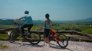 RideAlone