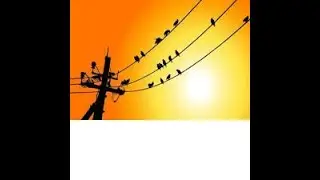 Birds on Live Wire